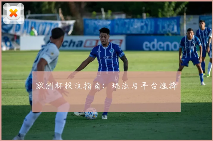 欧洲杯投注指南：玩法与平台选择
