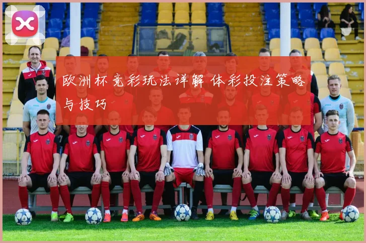 欧洲杯竞彩玩法详解 体彩投注策略与技巧