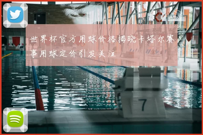 世界杯官方用球价格揭晓卡塔尔赛事用球定价引发关注